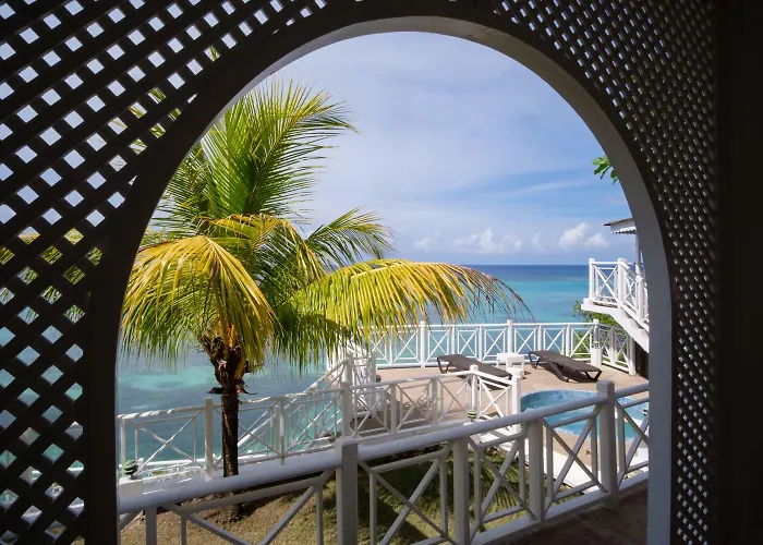 Hibiscus Ocho Rios