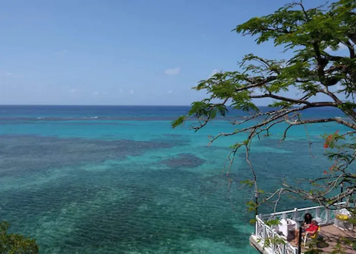 Hibiscus Ocho Rios