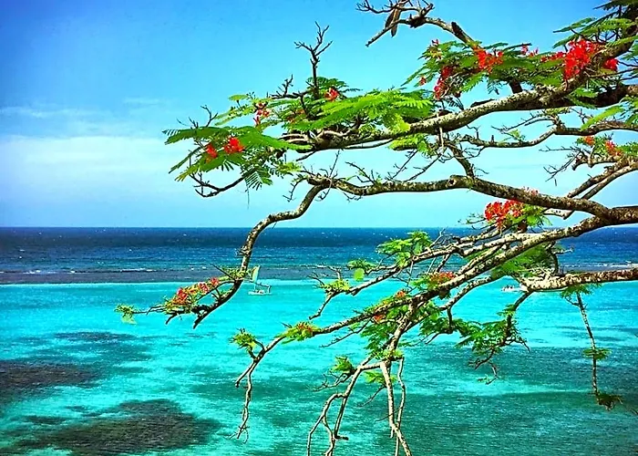 Hotel Hibiscus