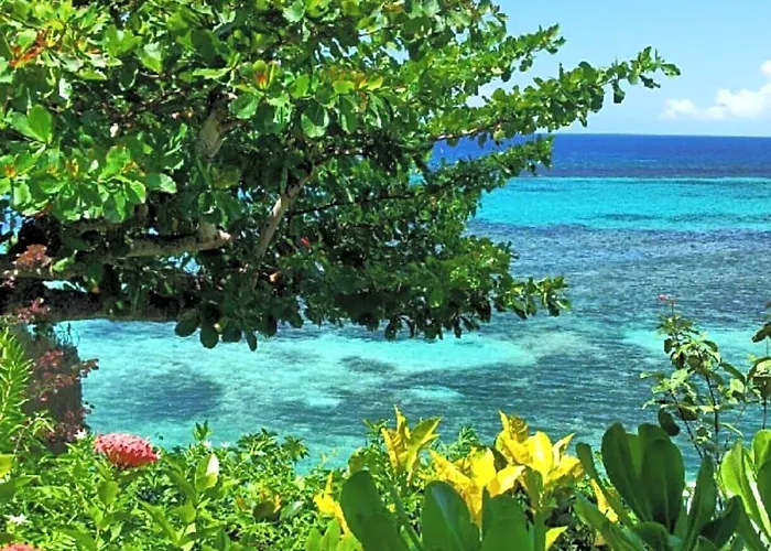 Hibiscus Ocho Rios