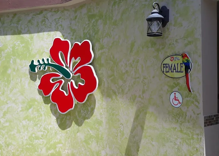 Hibiscus Ocho Rios